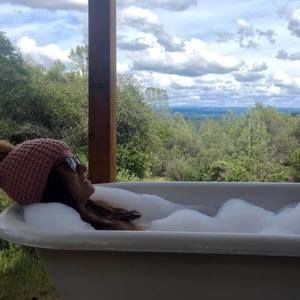 Meet your Posher, Ann